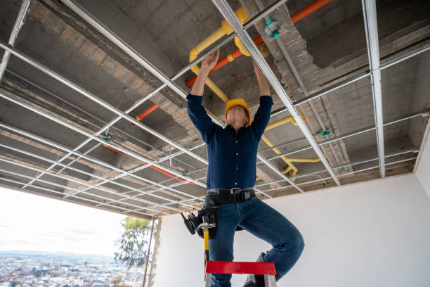 Best Plumbing Inspection Services  in Dunnigan, CA